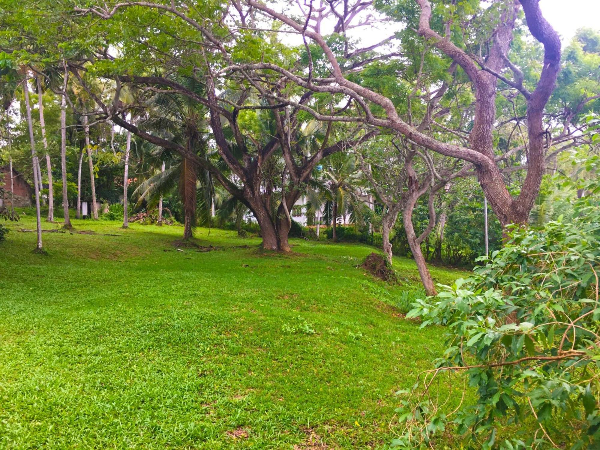 Bluewind Resort Tangalle Esterno foto