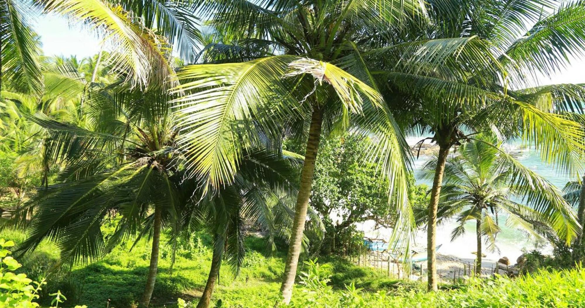 Bluewind Resort Tangalle Esterno foto